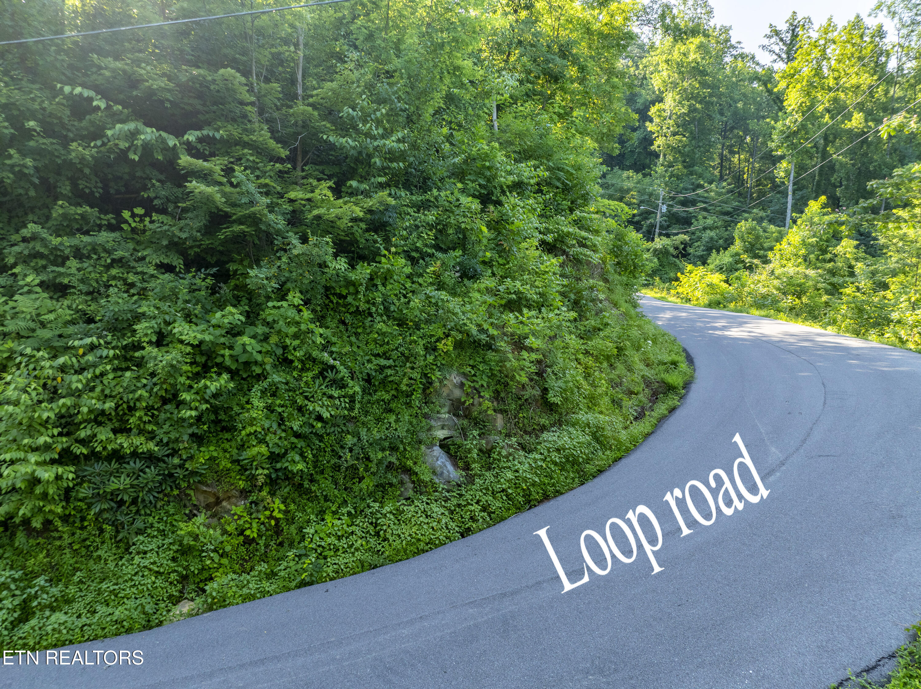 Loop Road Gatlinburg, TN 37738 - Photo 54 of 57 DJI_0334-HDR