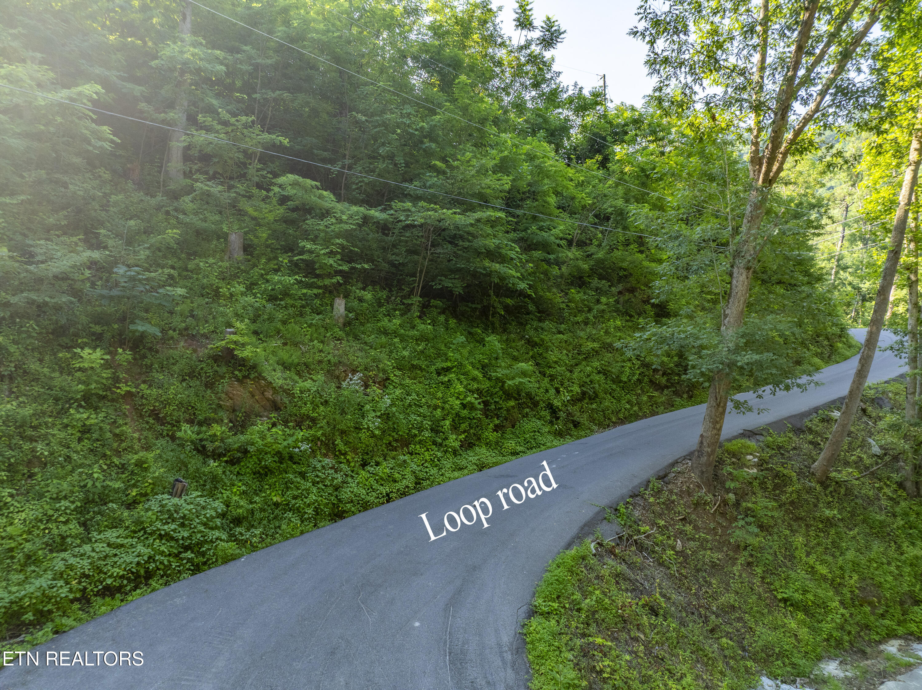 Loop Road Gatlinburg, TN 37738 - Photo 55 of 57 DJI_0349-HDR