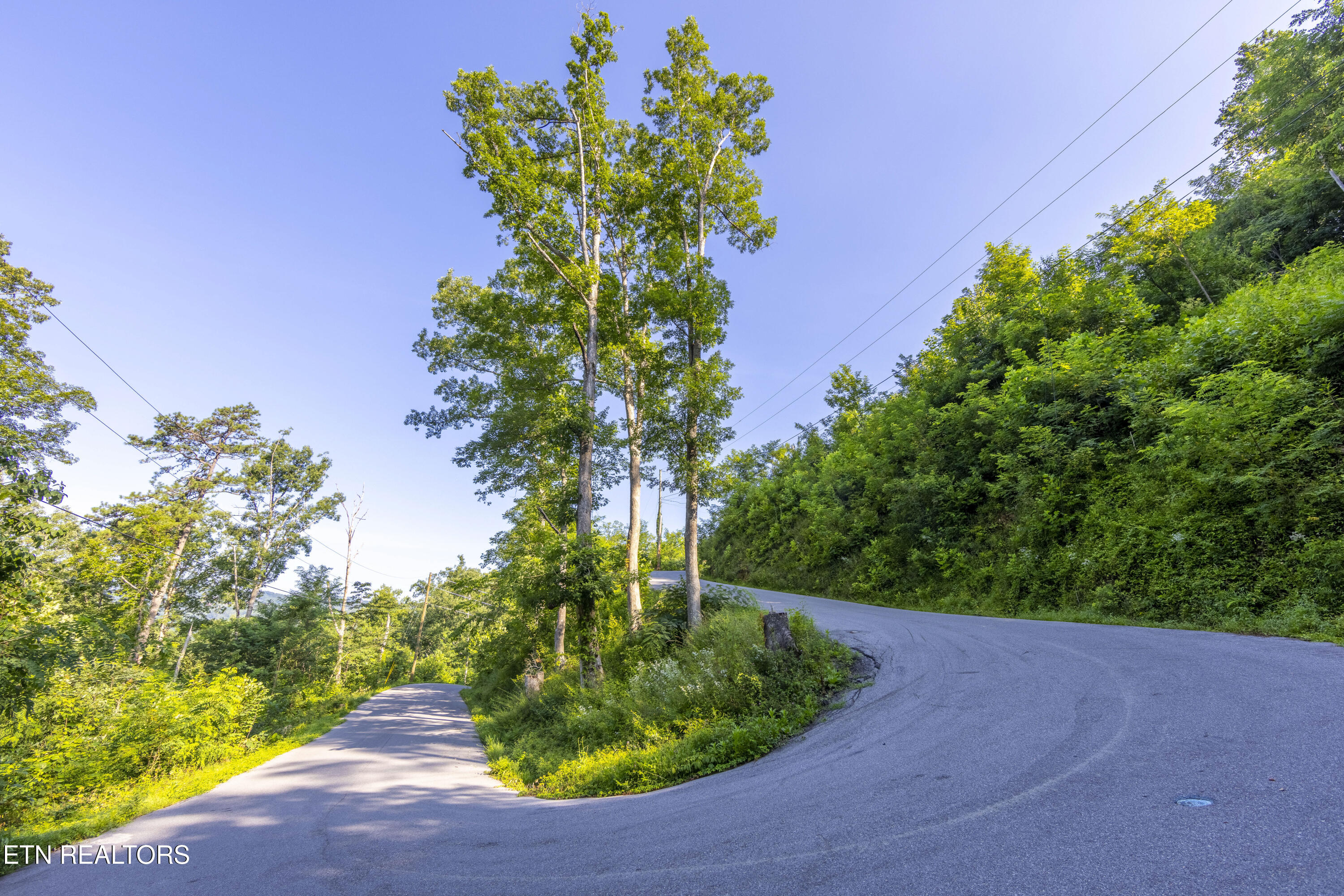 Loop Road Gatlinburg, TN 37738 - Photo 8 of 57 006A9167-HDR