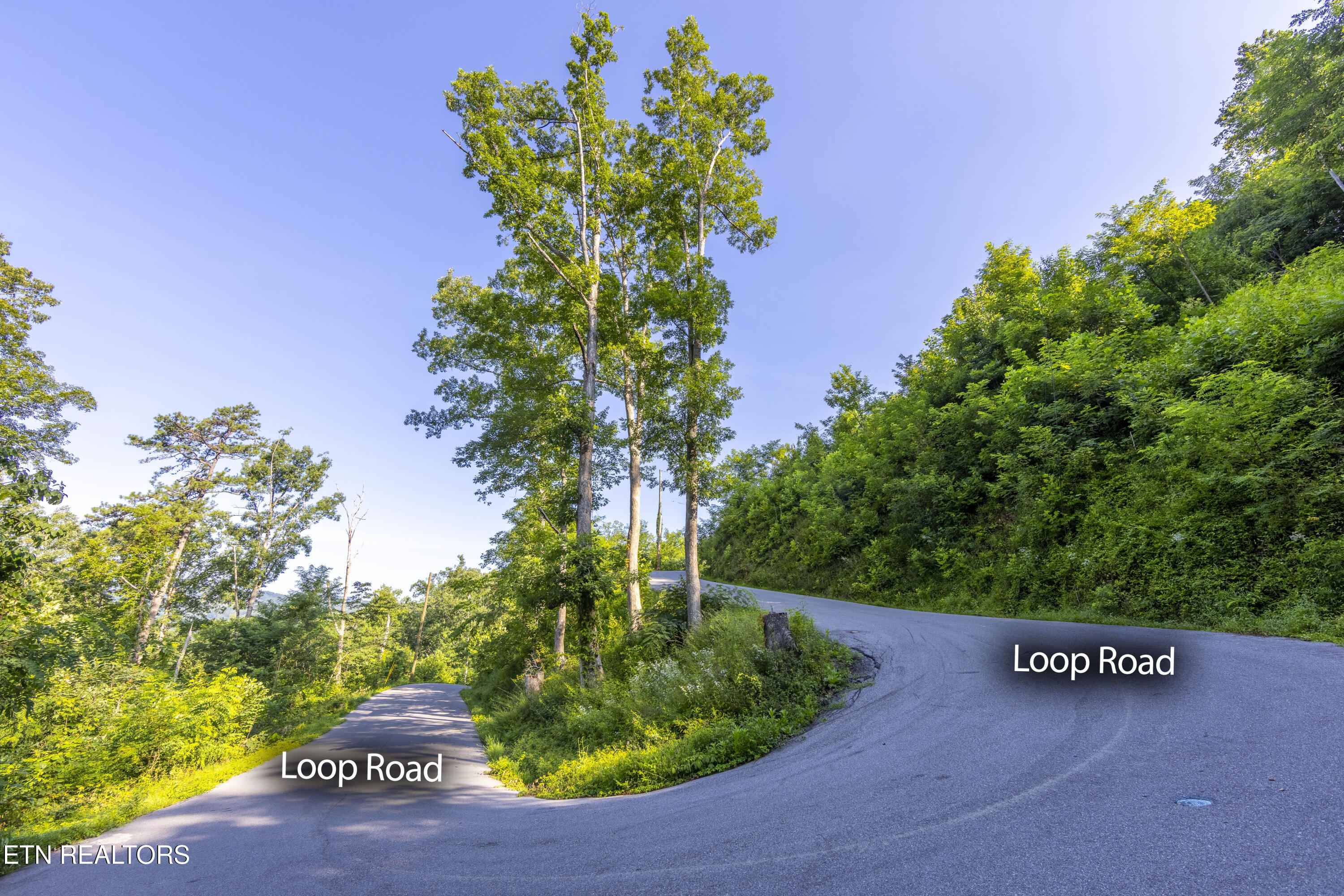 Loop Road Gatlinburg, TN 37738 - Photo 9 of 57 006A9167-HDRM