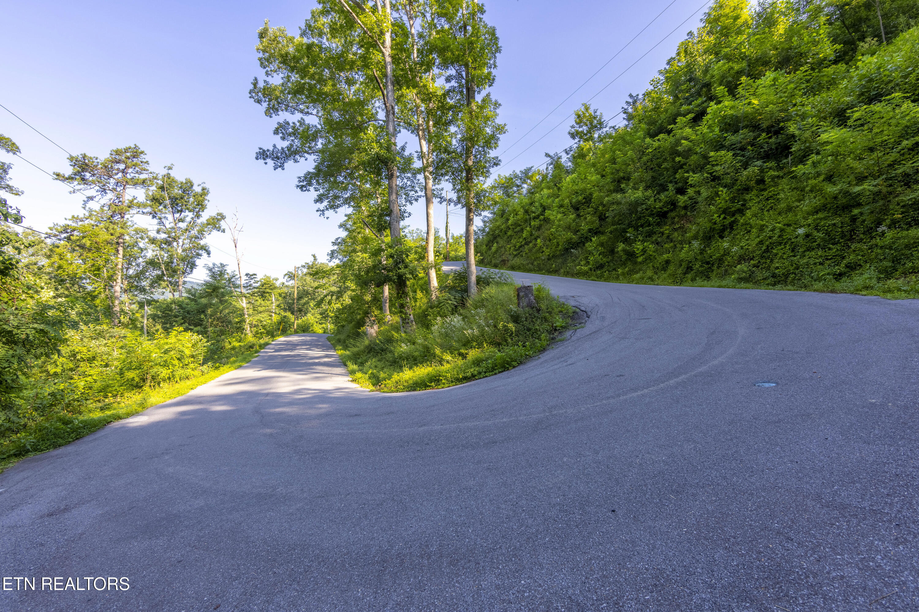 Loop Road Gatlinburg, TN 37738 - Photo 10 of 57 006A9172-HDR