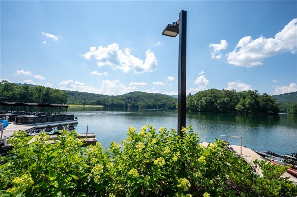 182 Sconti Ridge, Unit 440 Jasper, GA 30143 - Photo 53 of 93