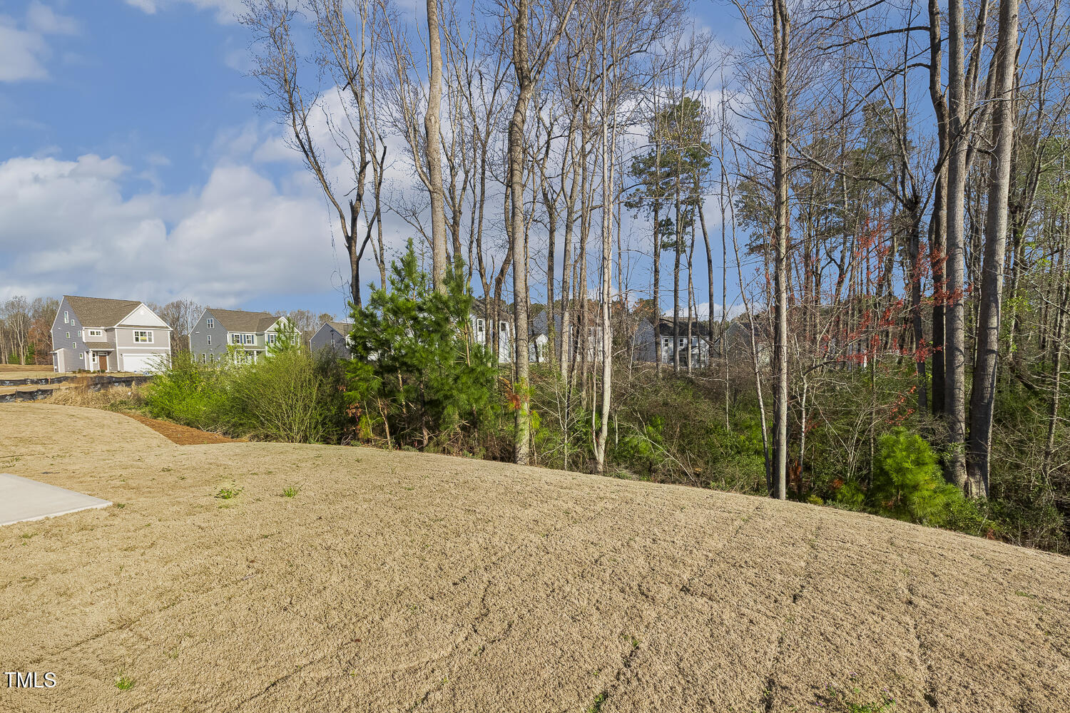 82 Gander Drive Benson, NC 27504 - Photo 22 of 33 a view of a backyard of the house