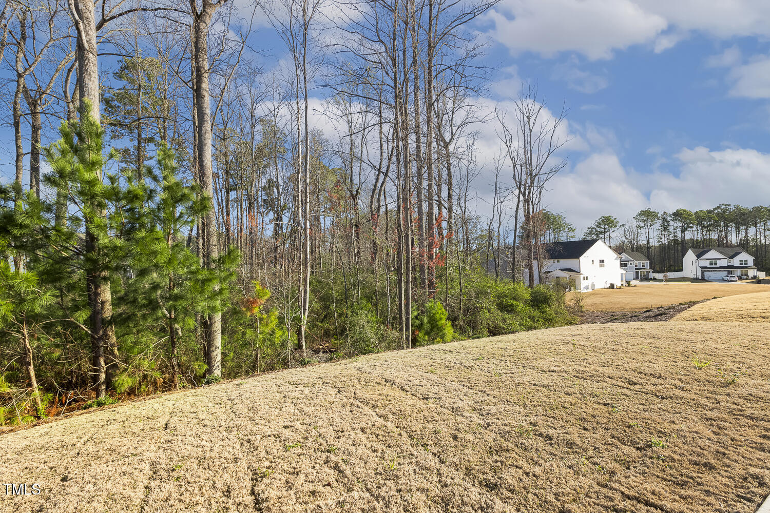 82 Gander Drive Benson, NC 27504 - Photo 23 of 33 a view of a backyard of the house