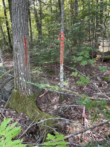 $175,000 | 0 Cedar Breeze North, Glenburn, ME 04401