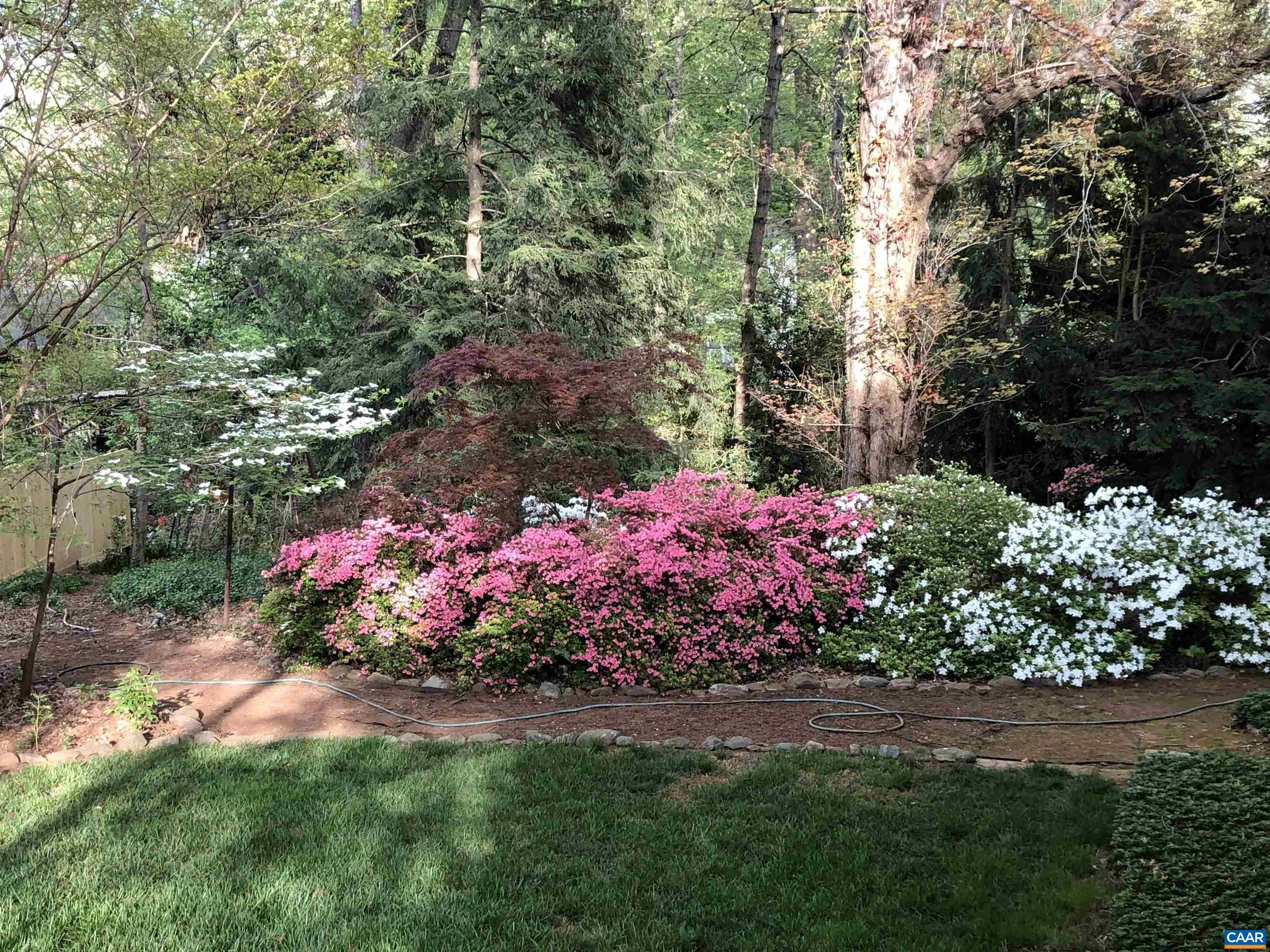 1413 Foxbrook Lane Charlottesville, VA 22901 - Photo 58 of 59