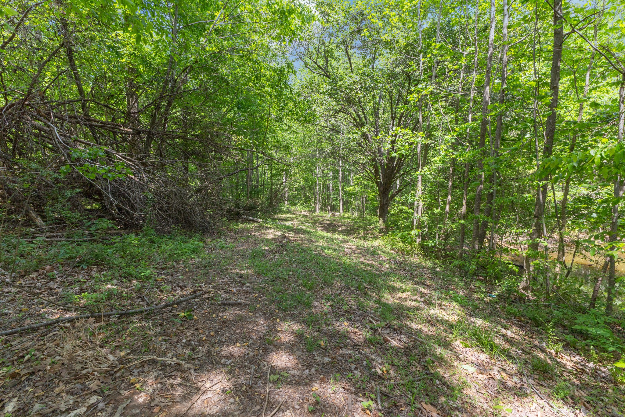 a view of outdoor space and trees