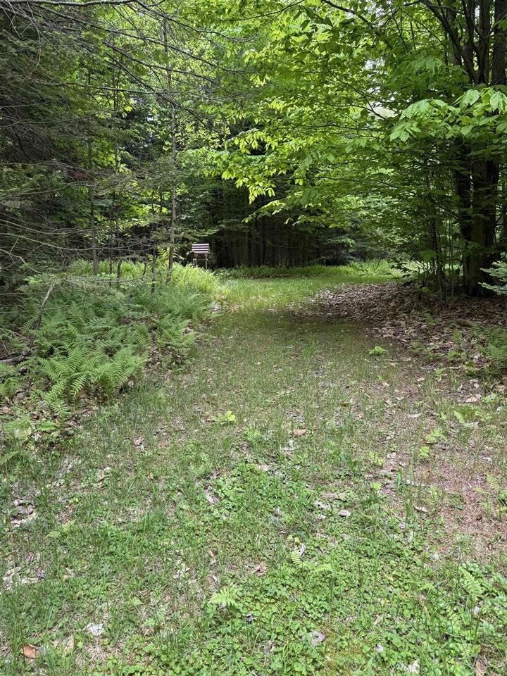 35 Shanley Road St. Regis Falls, NY 12980 - Photo 11 of 43 51508-a7fa2b63-0b9e-4564-a427-65515d30ae