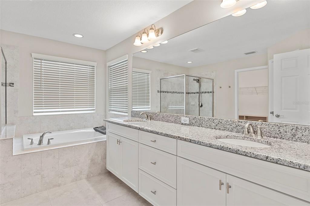 7537 Pool Compass Loop Wesley Chapel, FL 33545 - Photo 37 of 50 a bathroom with a granite countertop sink mirror and a bathtub