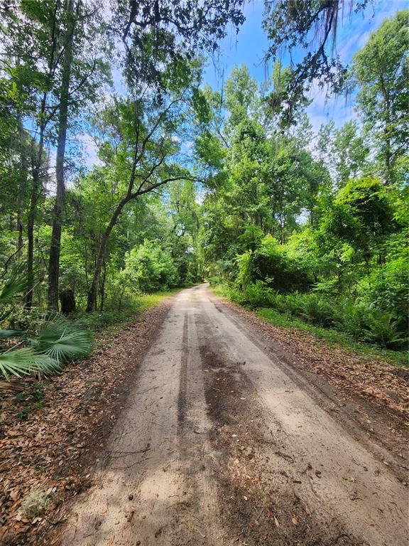 175 She She Road Hawthorne, FL 32640 - Photo 1 of 1 Gallery Image 1