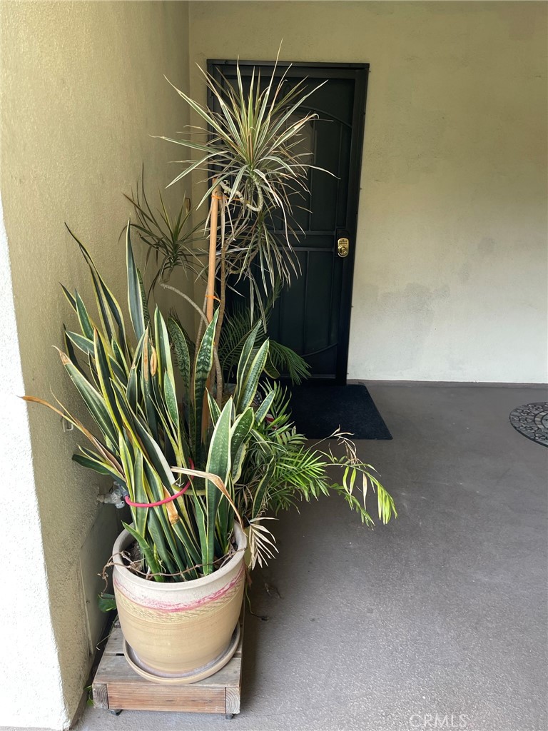 1187 East 3rd Street, Unit 209 Long Beach, CA 90802 - Photo 2 of 34 #209 ENTRANCE