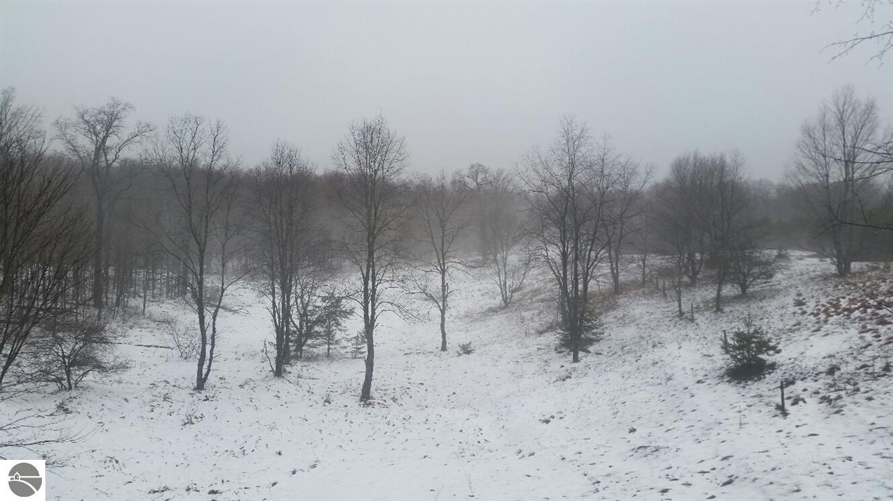 13818 North 1st Road Copemish, MI 49625 - Photo 7 of 9 1793417-7.JPG
