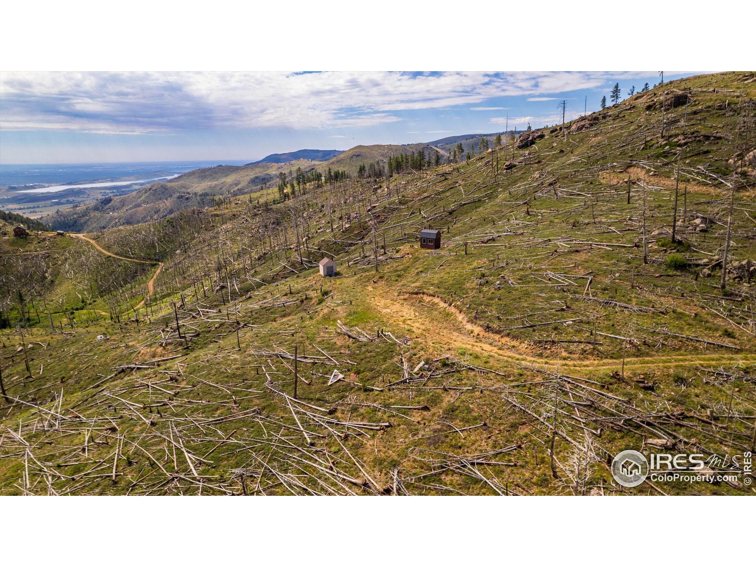 0 Pine Acres Bellvue Co 80512 Bellvue, CO 80512 - Photo 11 of 44