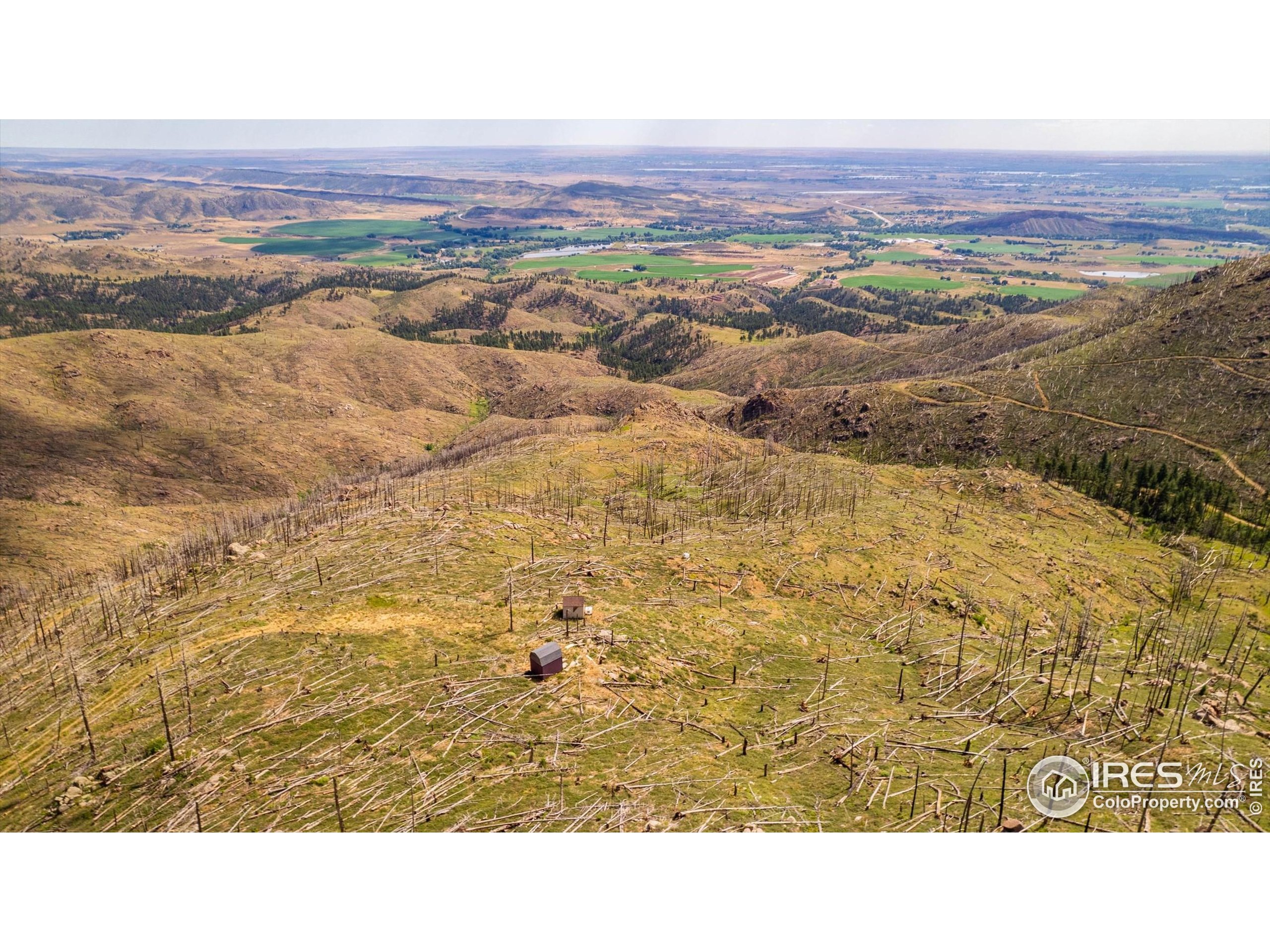 0 Pine Acres Bellvue Co 80512 Bellvue, CO 80512 - Photo 12 of 44