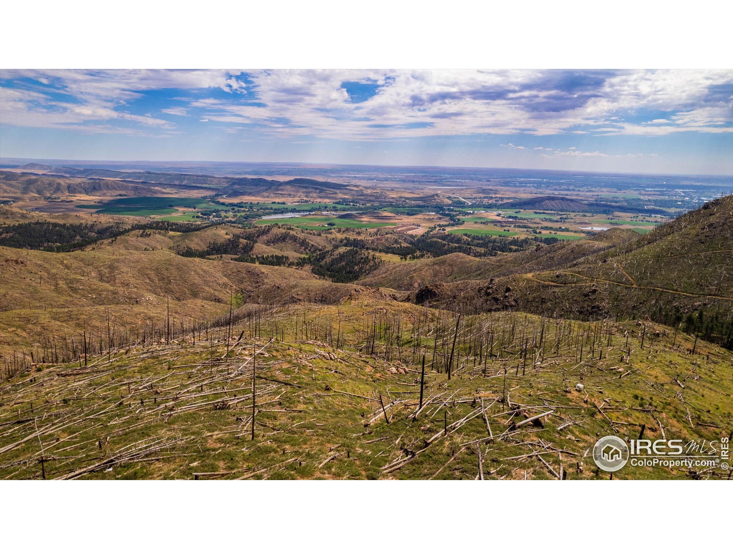 0 Pine Acres Bellvue Co 80512 Bellvue, CO 80512 - Photo 22 of 44