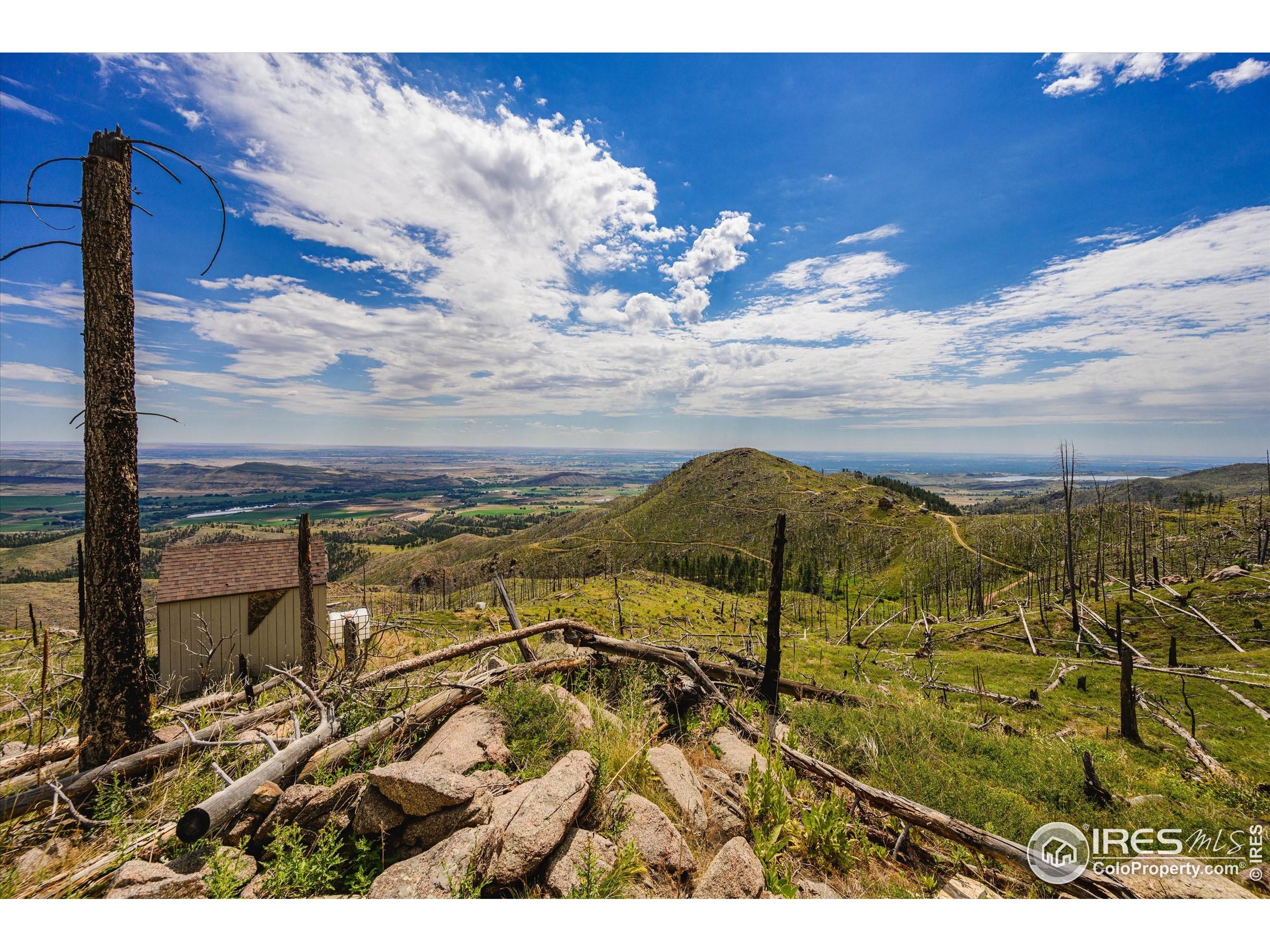 0 Pine Acres Bellvue Co 80512 Bellvue, CO 80512 - Photo 26 of 44