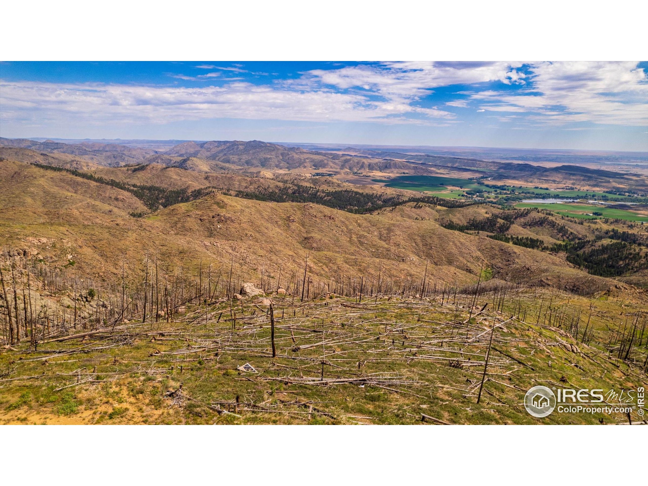 0 Pine Acres Bellvue Co 80512 Bellvue, CO 80512 - Photo 3 of 44