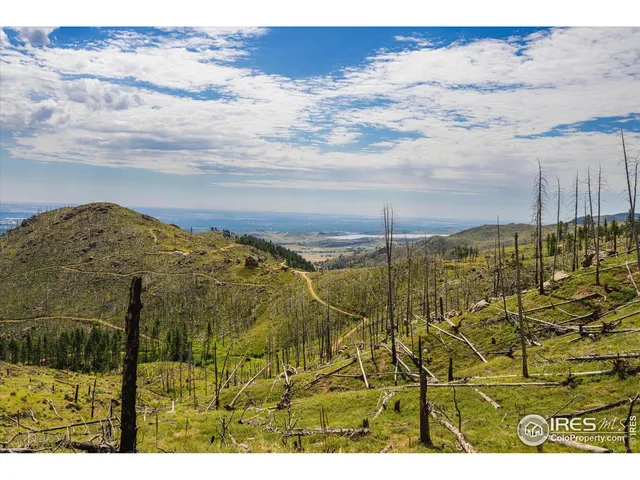 $105,000 | 0 Pine Acres Bellvue Co 80512, Bellvue, CO 80512