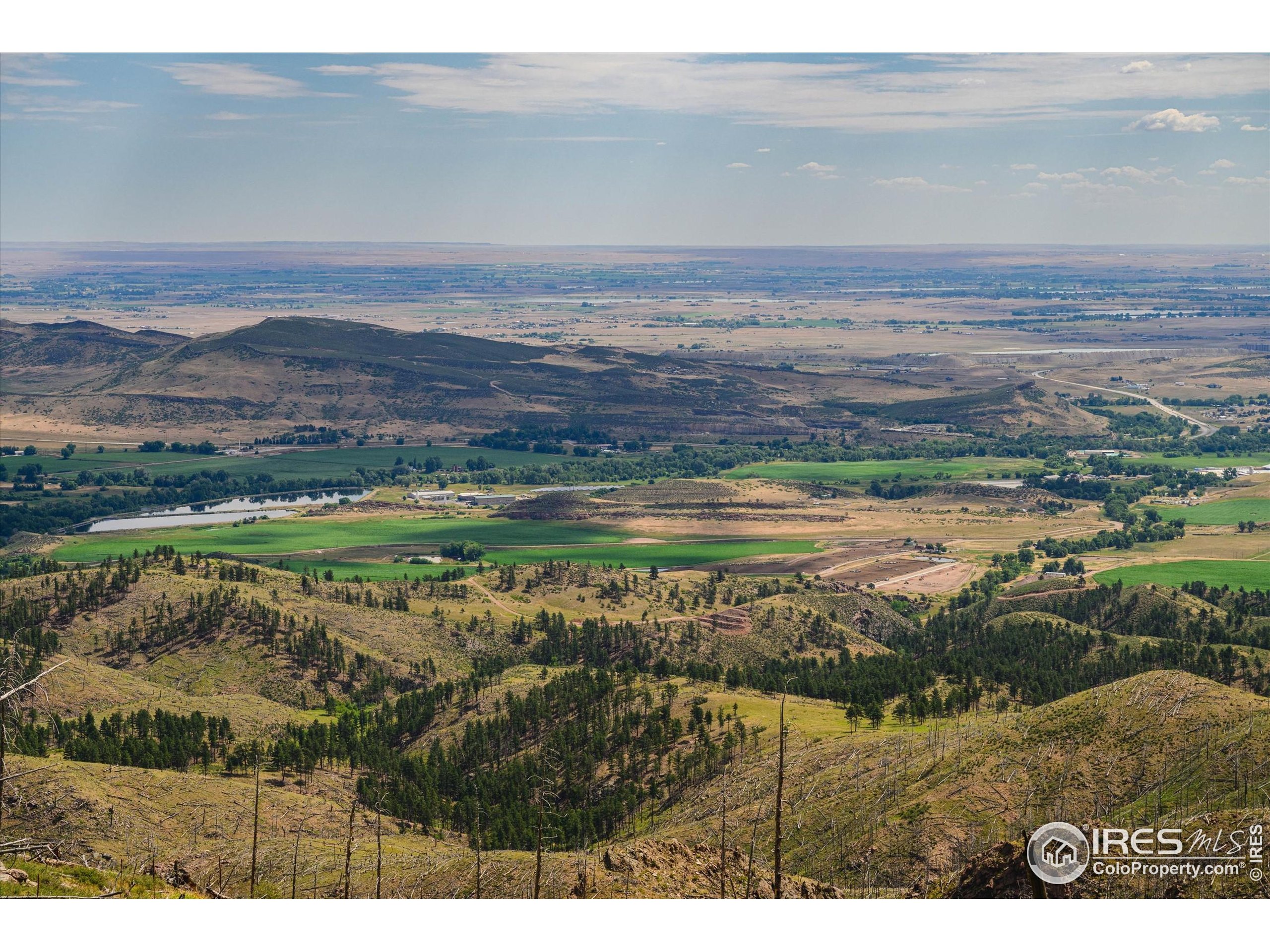 0 Pine Acres Bellvue Co 80512 Bellvue, CO 80512 - Photo 38 of 44