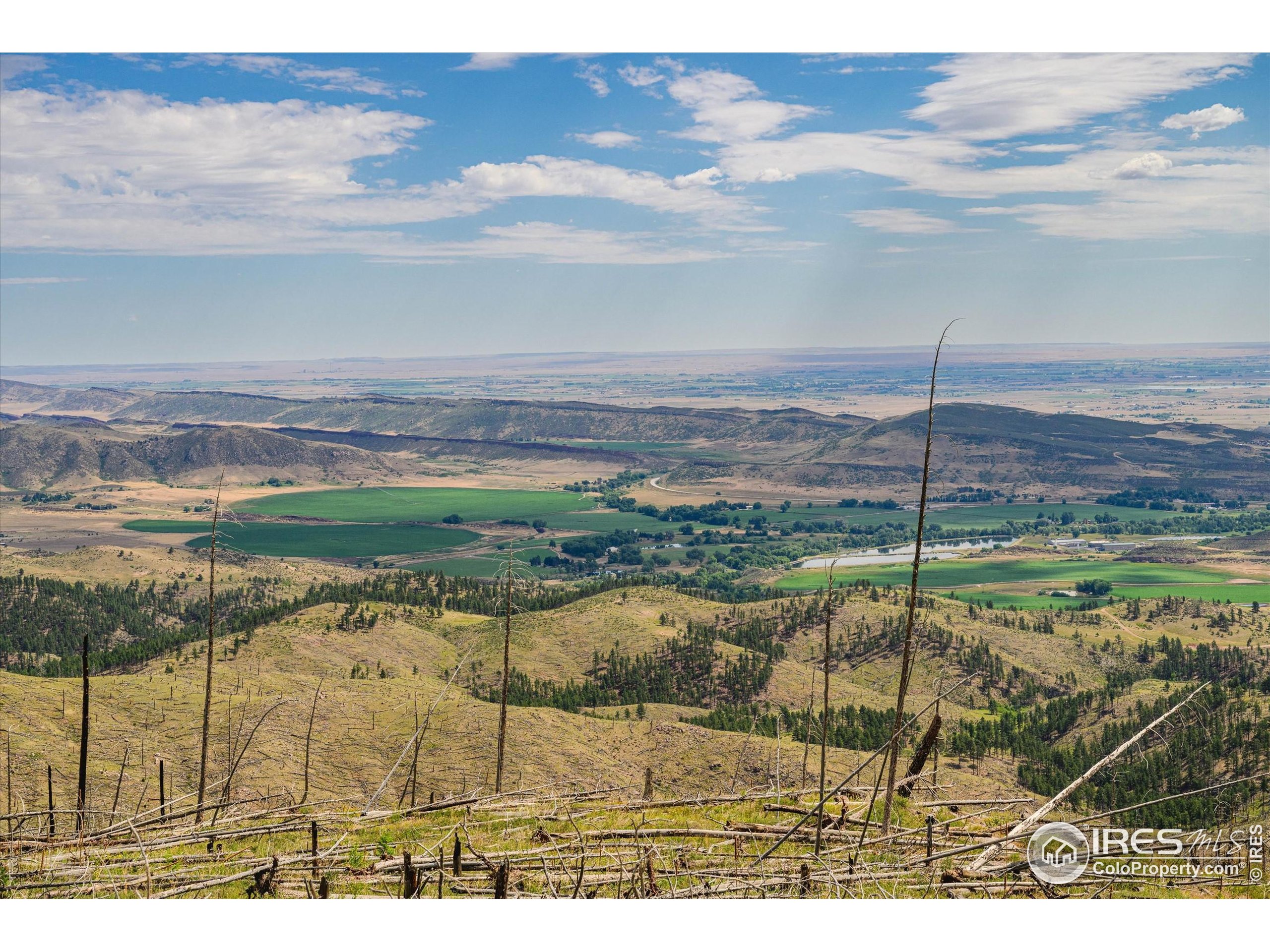 0 Pine Acres Bellvue Co 80512 Bellvue, CO 80512 - Photo 40 of 44