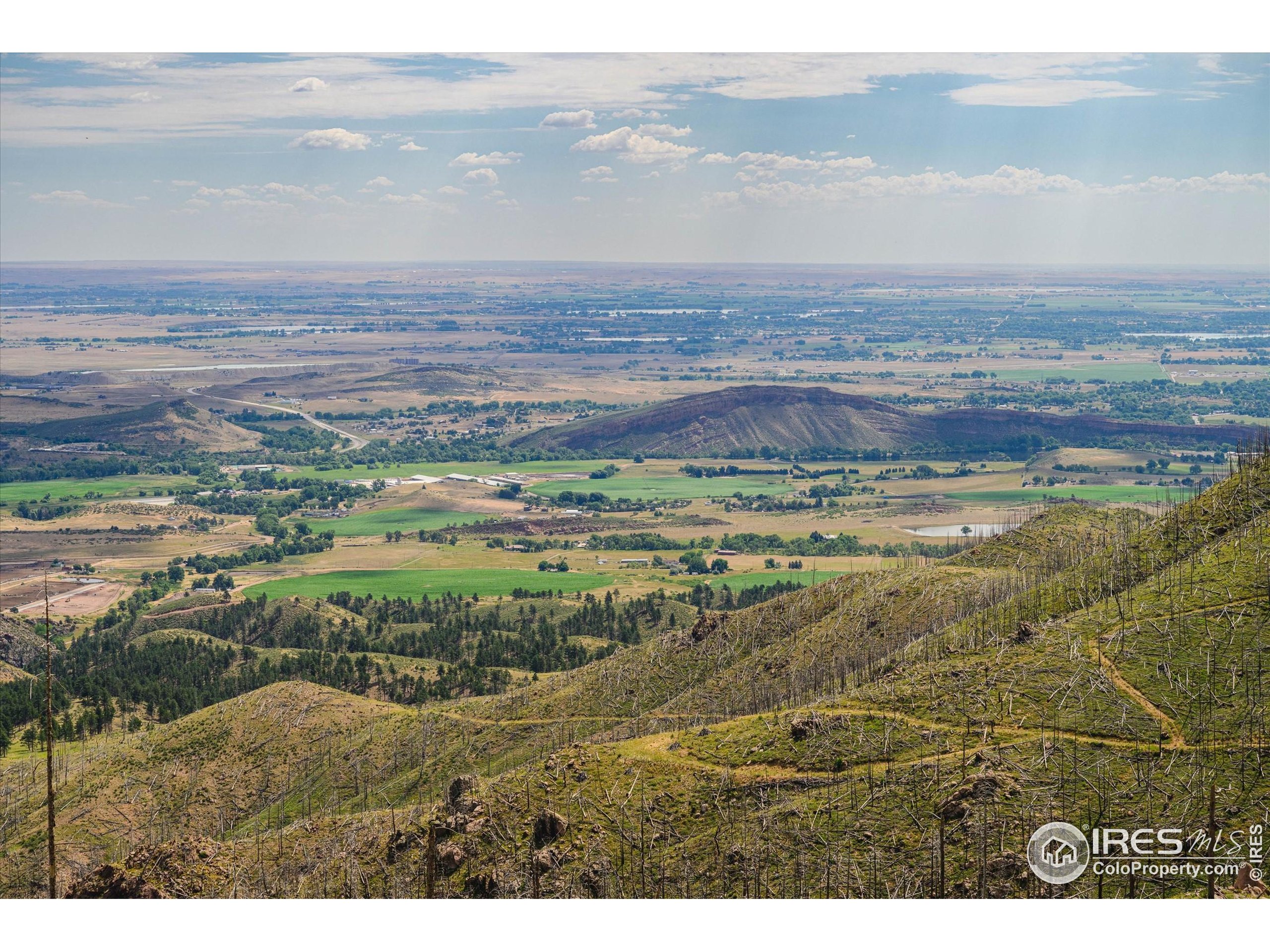 0 Pine Acres Bellvue Co 80512 Bellvue, CO 80512 - Photo 41 of 44