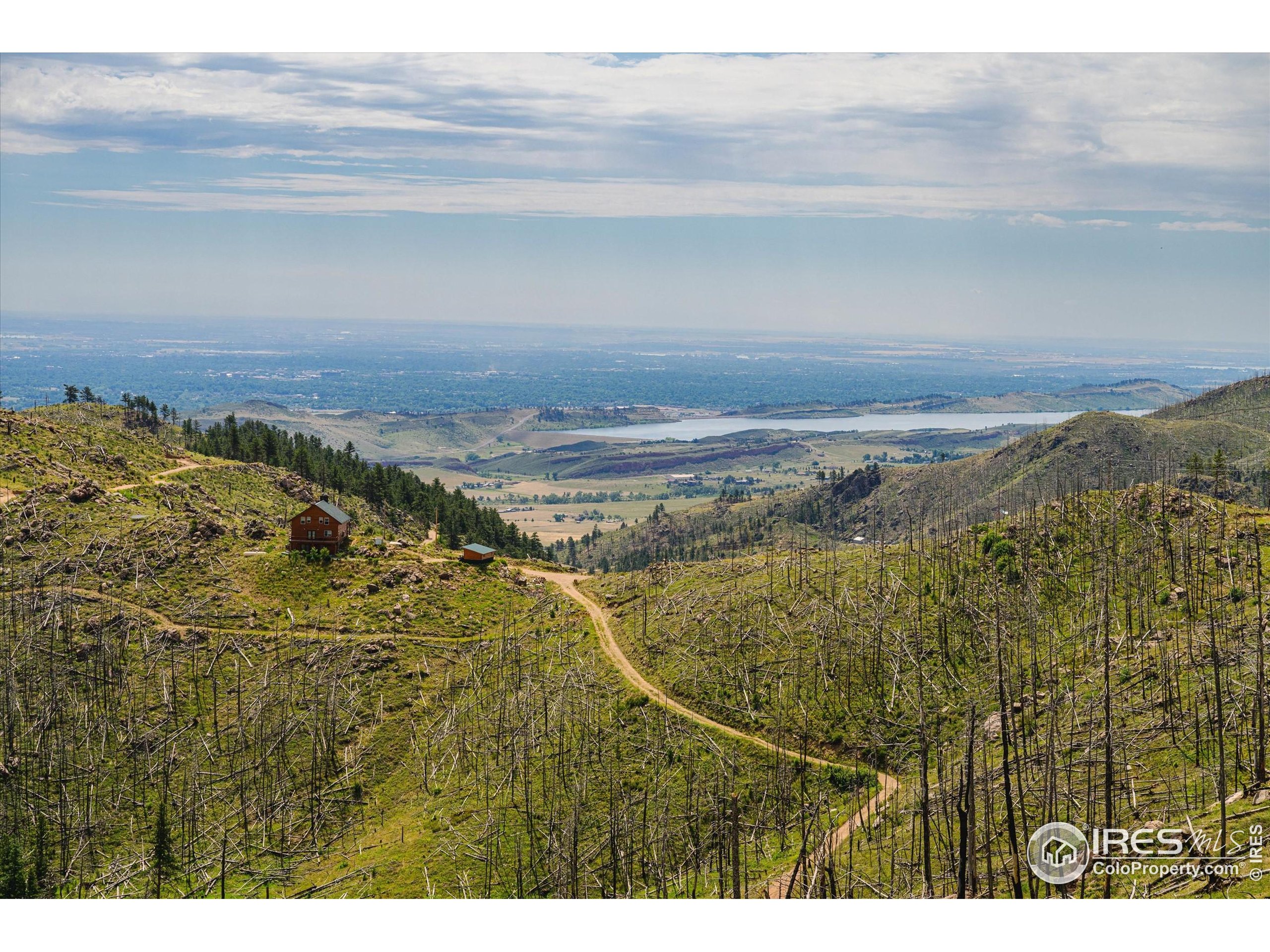 0 Pine Acres Bellvue Co 80512 Bellvue, CO 80512 - Photo 44 of 44