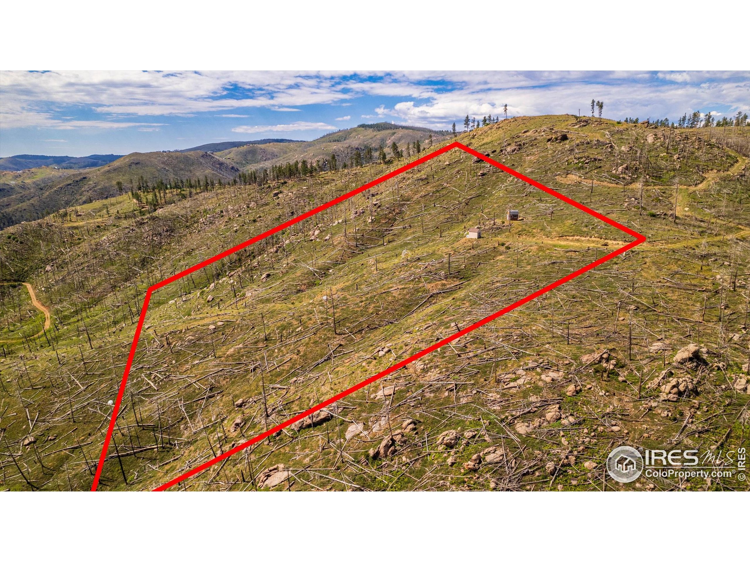 0 Pine Acres Bellvue Co 80512 Bellvue, CO 80512 - Photo 5 of 44