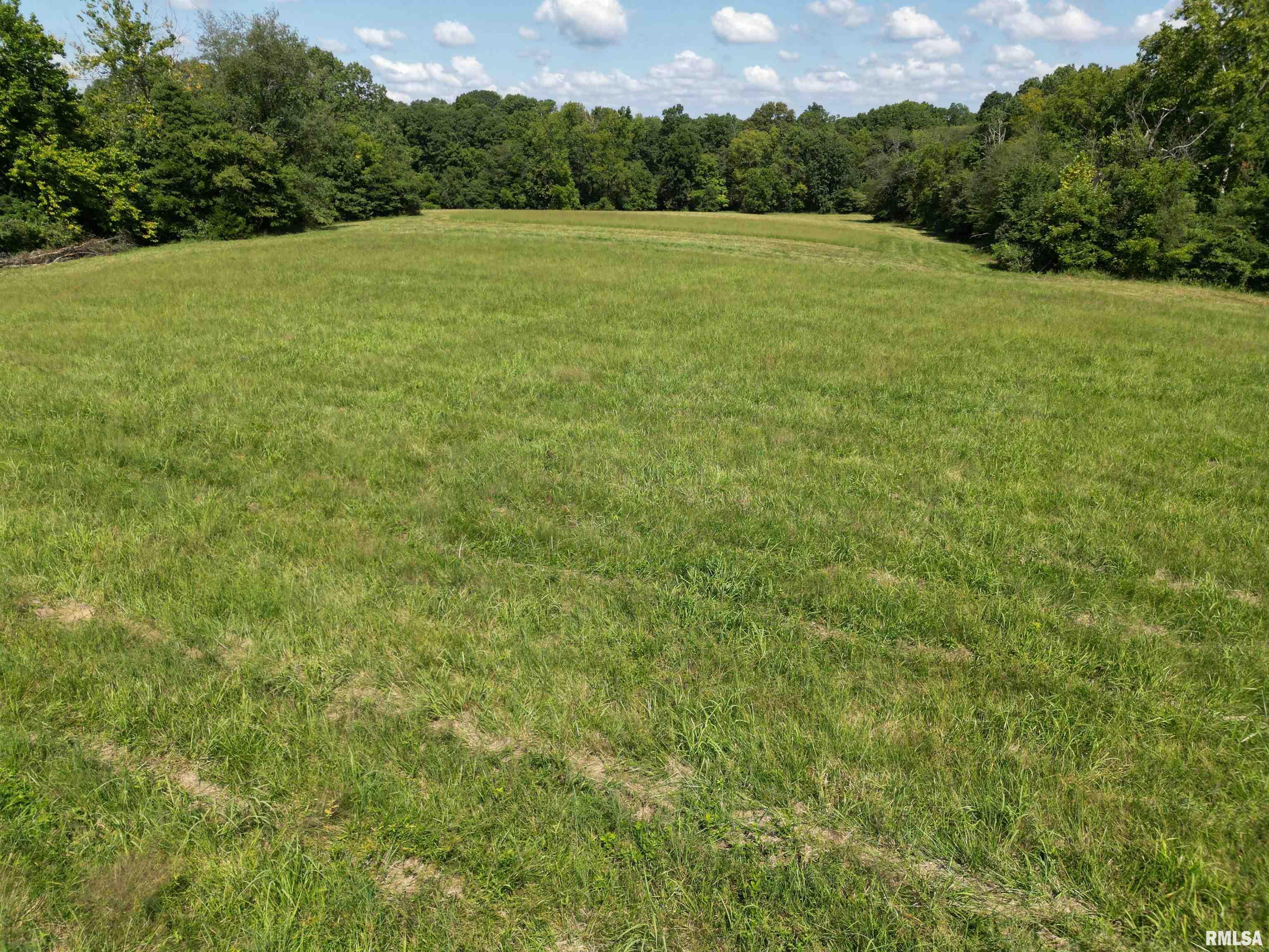 1385 Dutchman Lake Road Vienna, IL 62995 - Photo 54 of 57