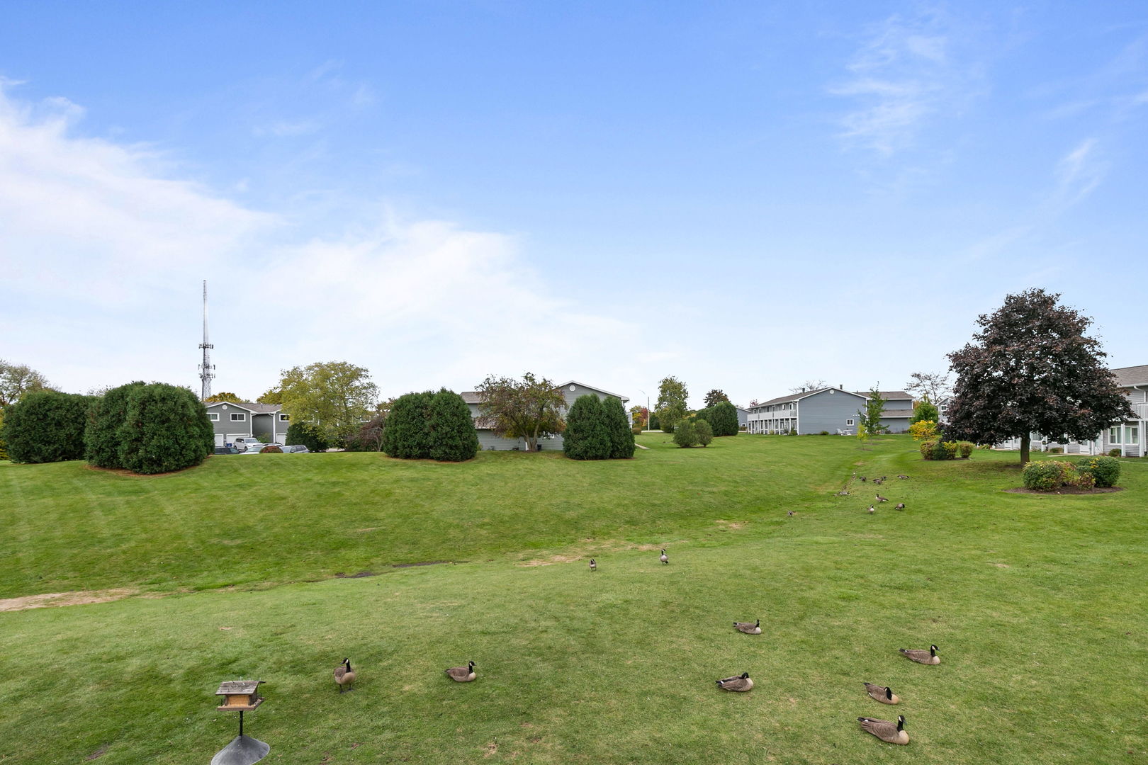 17438 Walnut Lane Gurnee, IL 60031 - Photo 17 of 17 a view of a grassy field with trees
