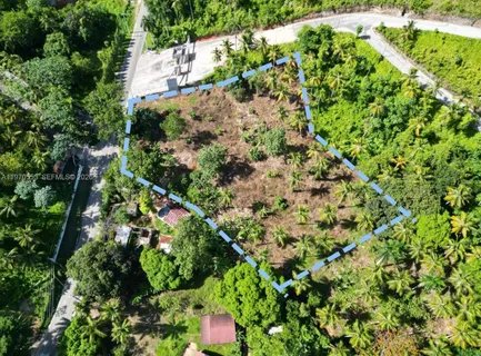 an aerial view of a house with a yard and large trees