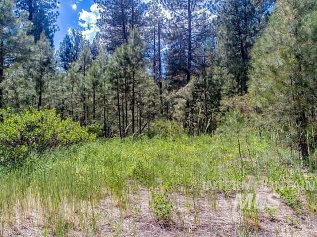 Tbd Cedar Circle Boise, ID 83716 - Photo 5 of 30