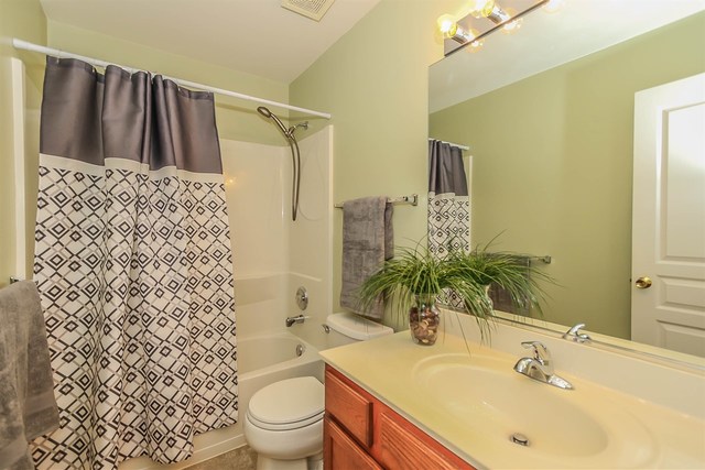 302 Locksley Drive Streamwood, IL 60107 - Photo 21 of 23 a bathroom with a sink toilet and shower