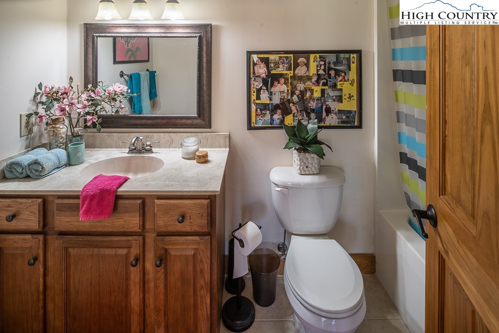 154 Lilac Lane Boone, NC 28607 - Photo 41 of 50 a bathroom with a toilet sink and mirror