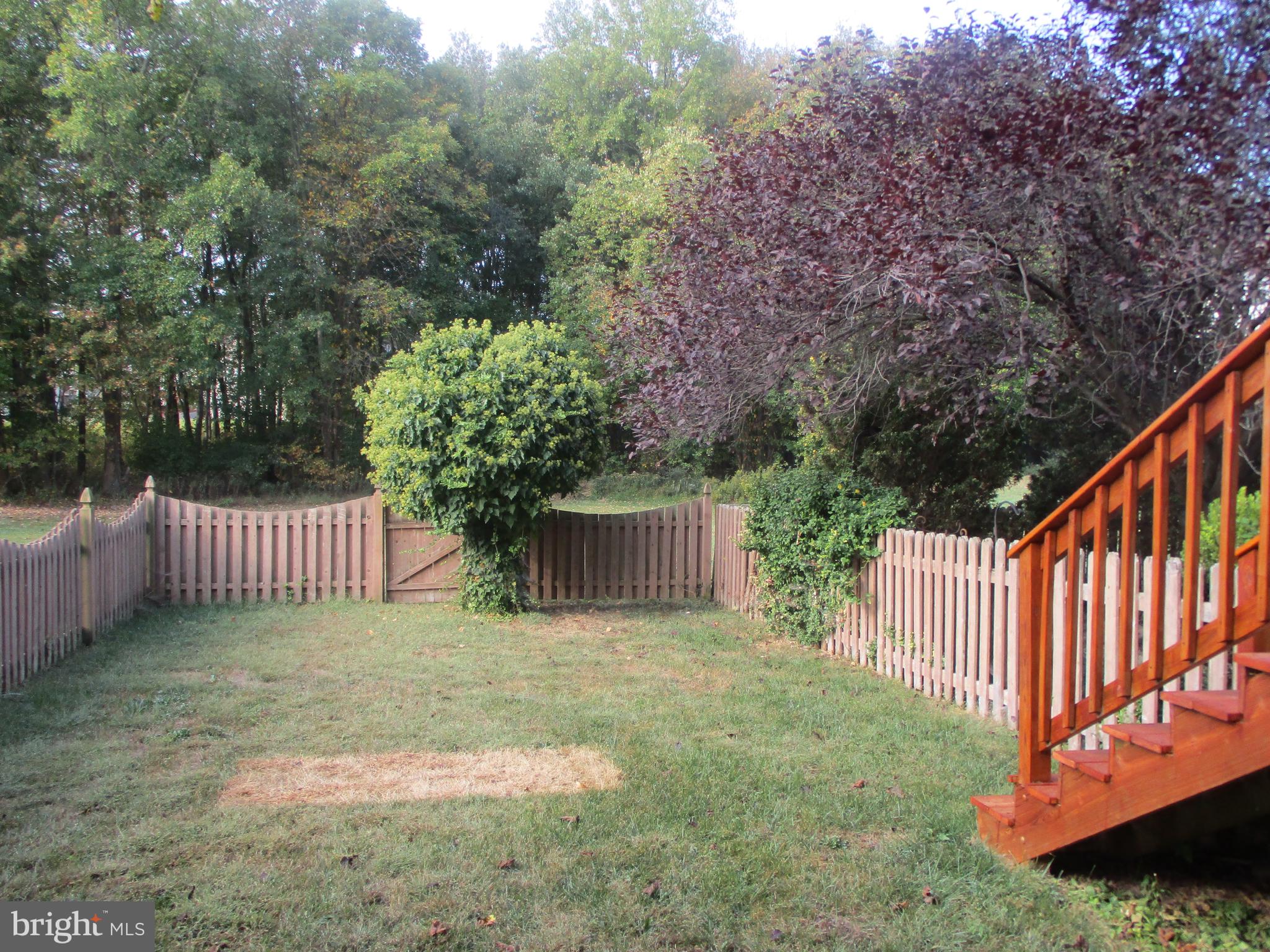 4 Wicklow Road Bear, DE 19701 - Photo 22 of 26