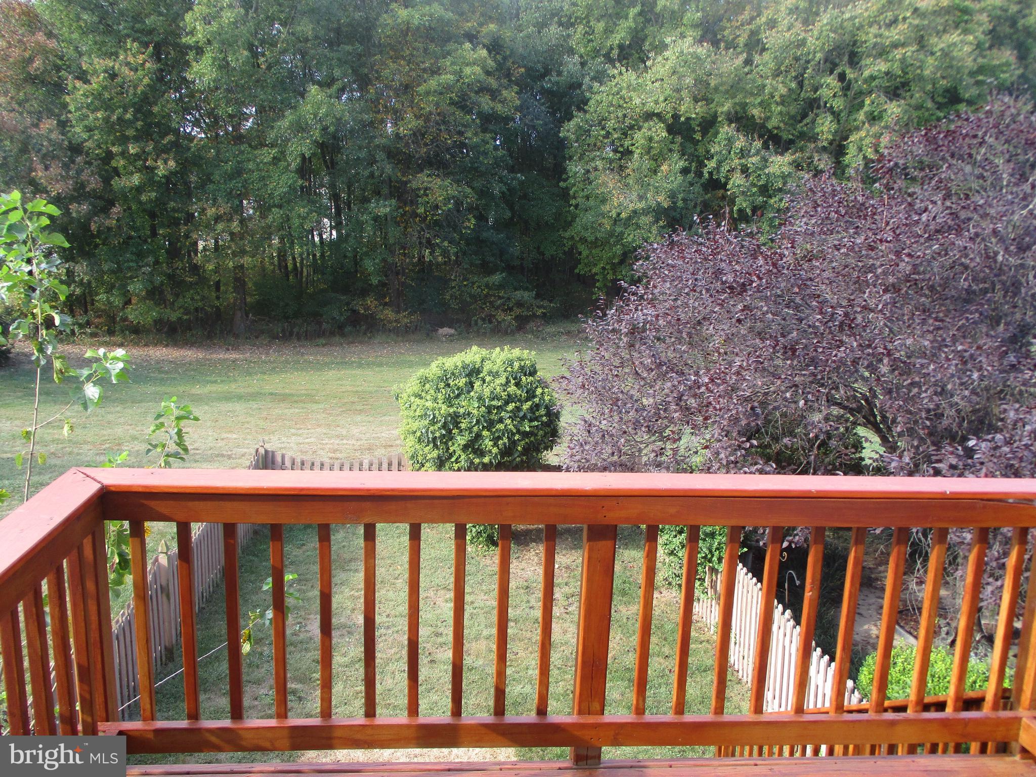 4 Wicklow Road Bear, DE 19701 - Photo 25 of 26