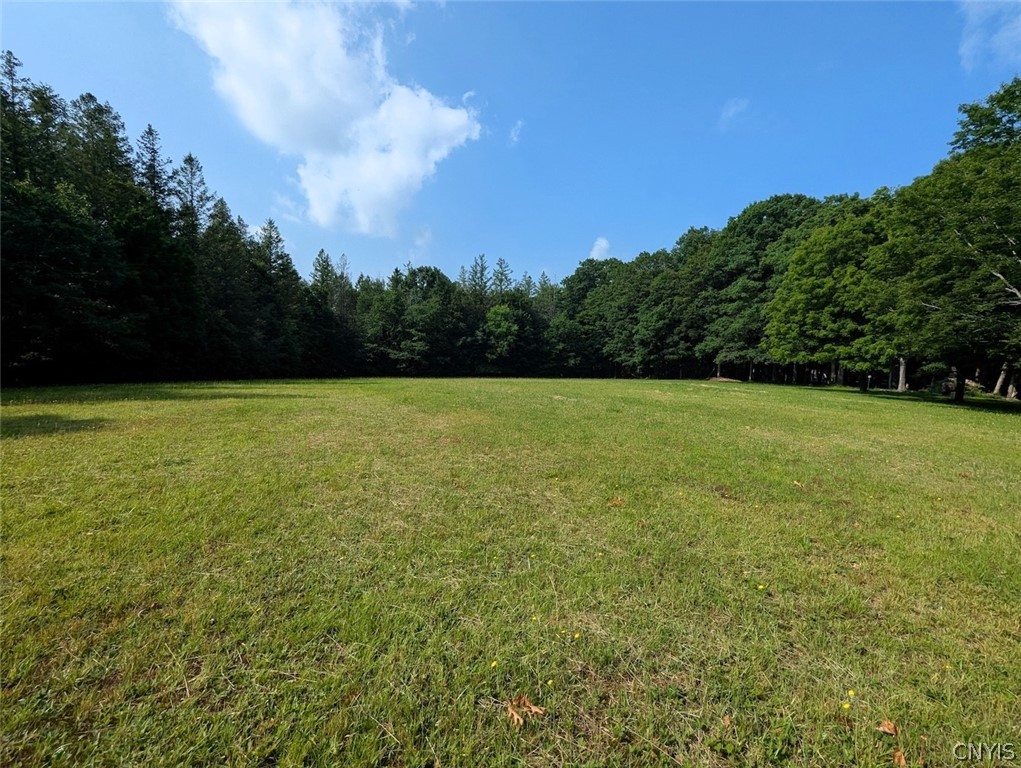 8880 Hemlock Road Wheeler, NY 14809 - Photo 24 of 50