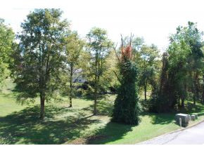 807 Swadley Road, Unit 9 Johnson City, TN 37601 - Photo 23 of 24 Green space