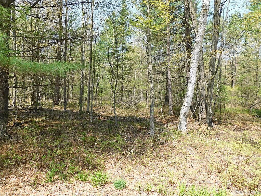 2229 Boman Road Alger, MI 48610 - Photo 69 of 84 15-_SCN0168.JPG