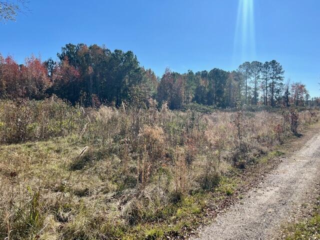 168 Country Downs Lane Reevesville, SC 29471 - Photo 3 of 6 IMG_5738