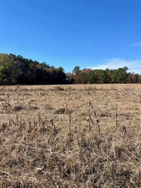 168 Country Downs Lane Reevesville, SC 29471 - Photo 4 of 6 IMG_5739