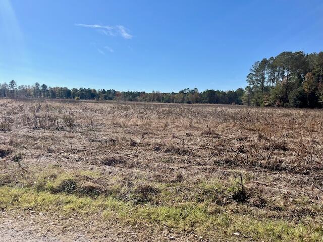 168 Country Downs Lane Reevesville, SC 29471 - Photo 5 of 6 IMG_5741