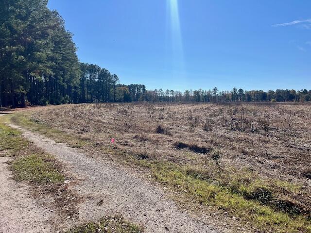 168 Country Downs Lane Reevesville, SC 29471 - Photo 6 of 6 IMG_5742