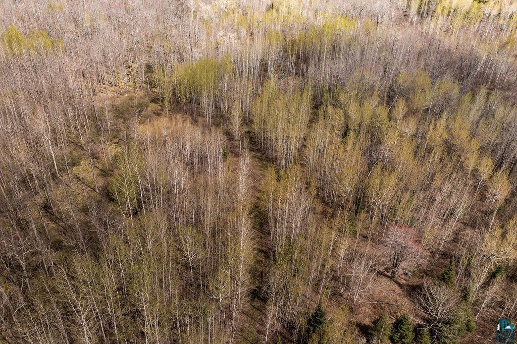 3076 Clark Road Two Harbors, MN 55616 - Photo 6 of 31 Gallery Image 6