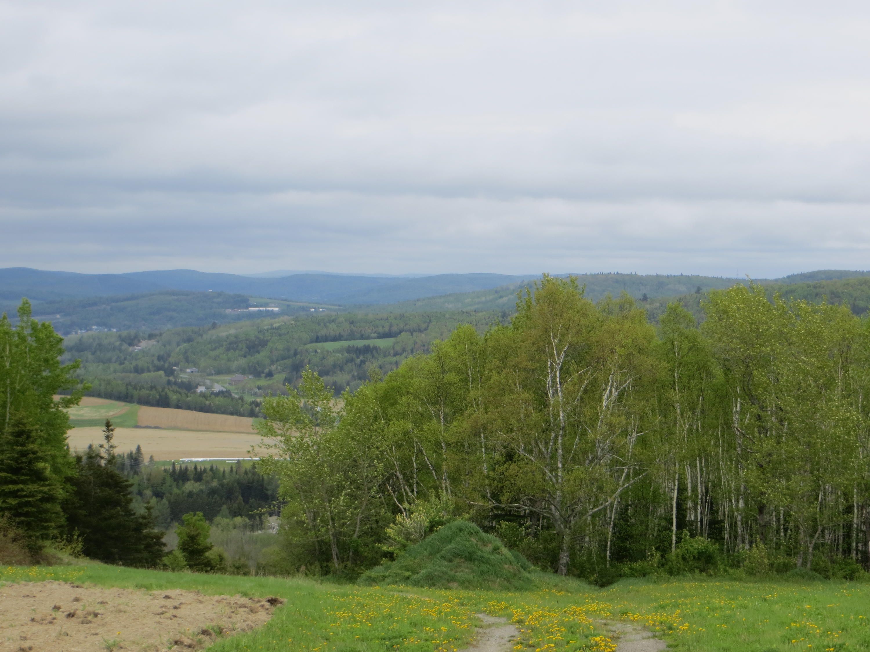 112 Ramsey Road Fort Kent, ME 04743 - Photo 2 of 20 IMG_9132