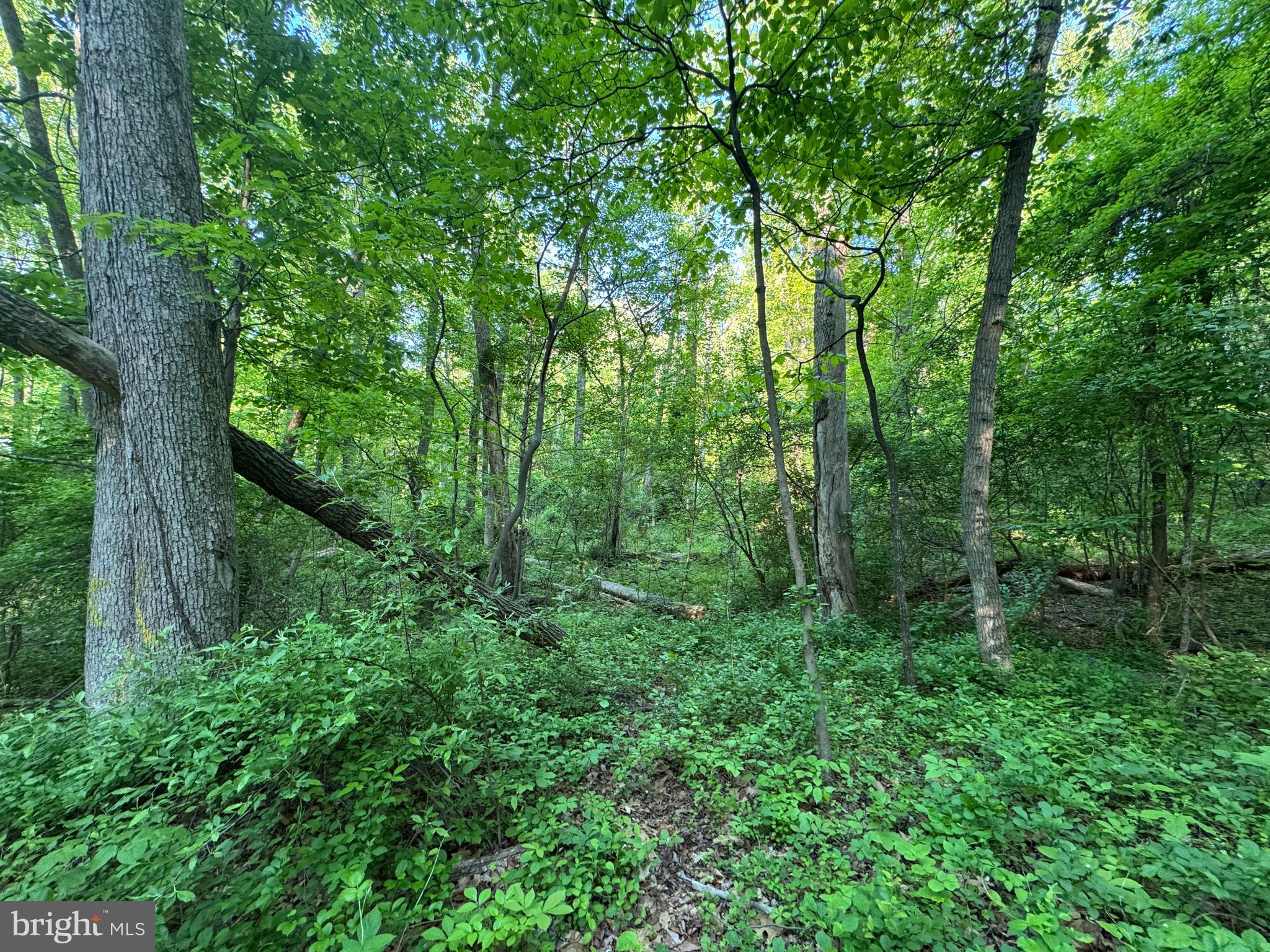 Edgemont Road Frederick, MD 21702 - Photo 6 of 6