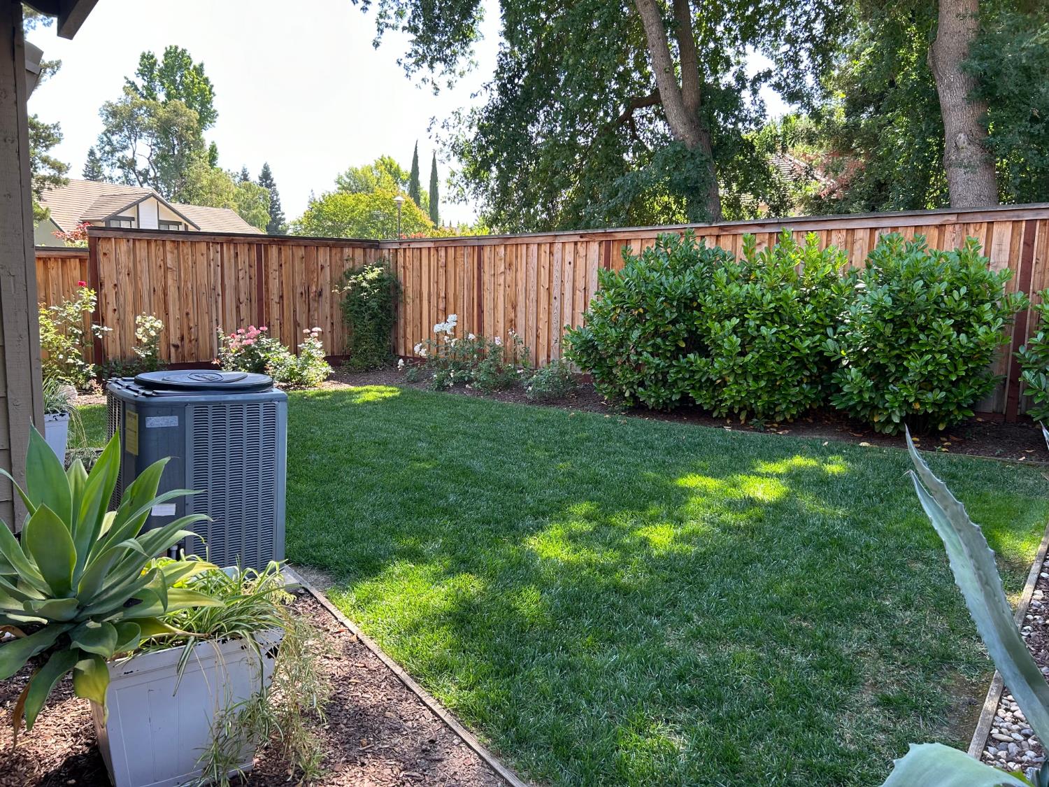 1067 Rio Cidade Way Sacramento, CA 95831 - Photo 21 of 33 a garden view