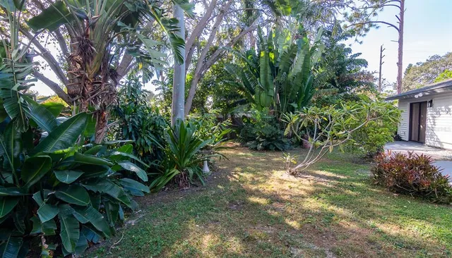 a view of a yard with plants and large trees