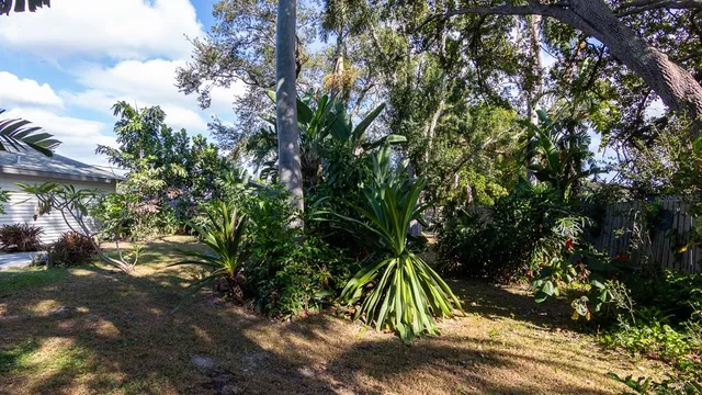 a view of outdoor space with a tree