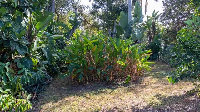 a backyard of a house with lots of green space