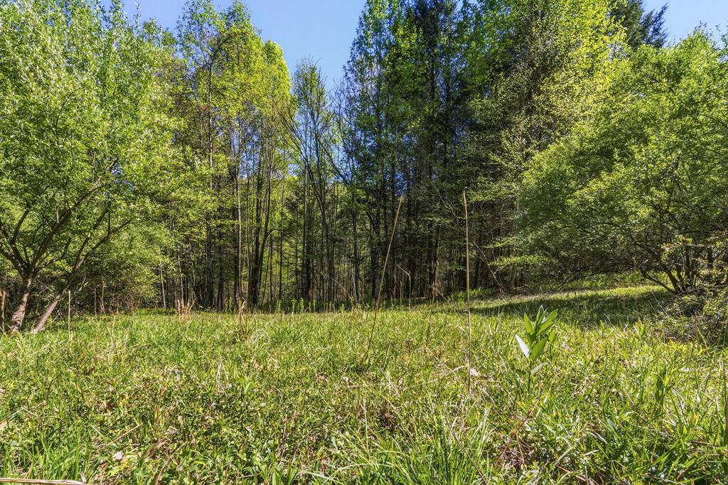 0 Elliott Road Fayetteville, WV 25840 - Photo 53 of 59 Gallery Image 53